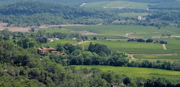 A vineyard landscape with terraced fields and a building with a red roof.