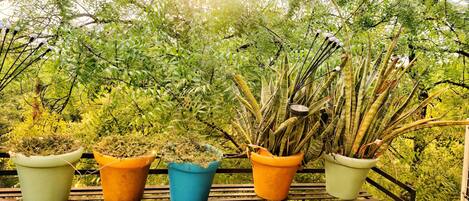 Jardines del alojamiento