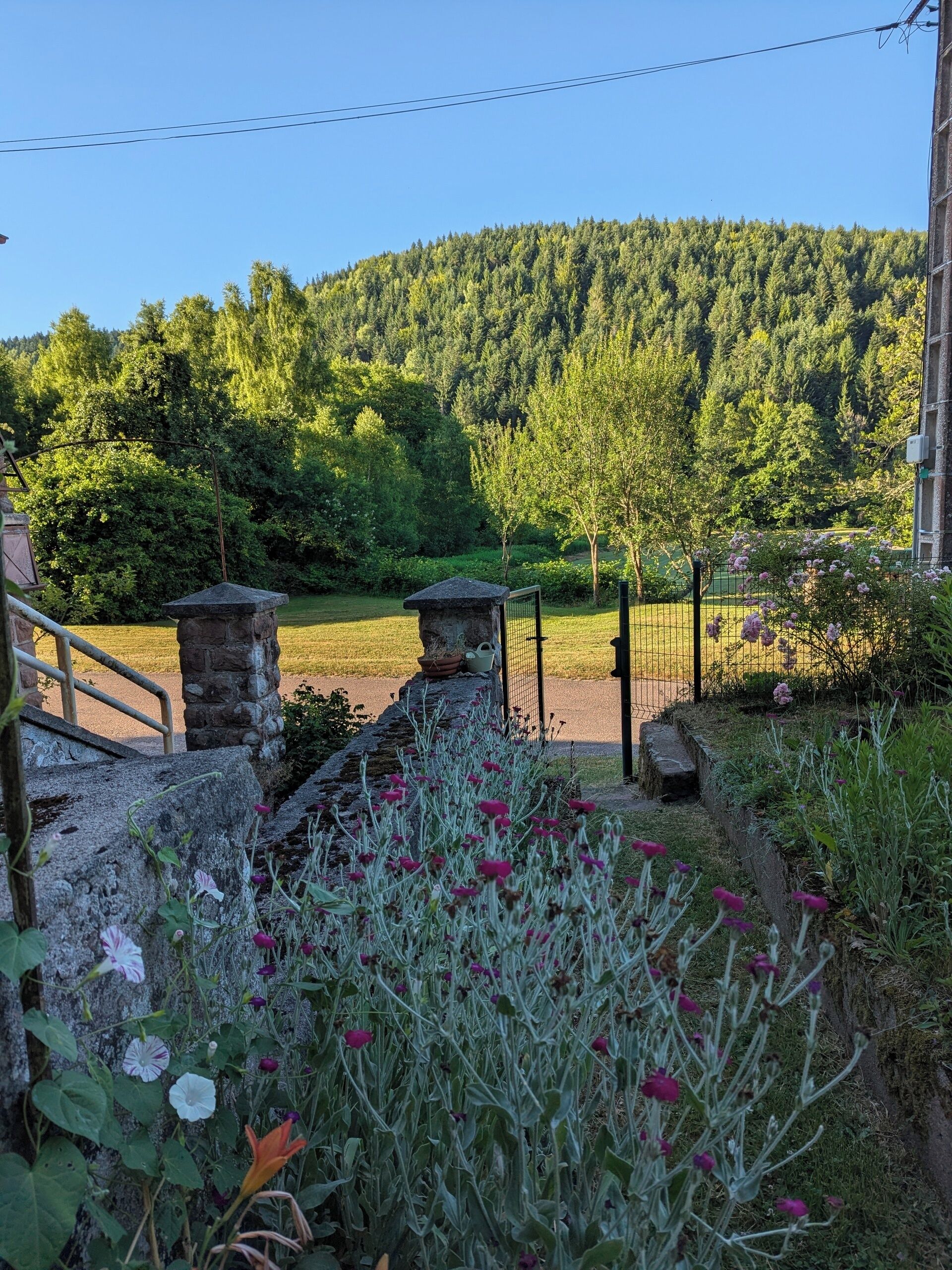 Terrein van de accommodatie