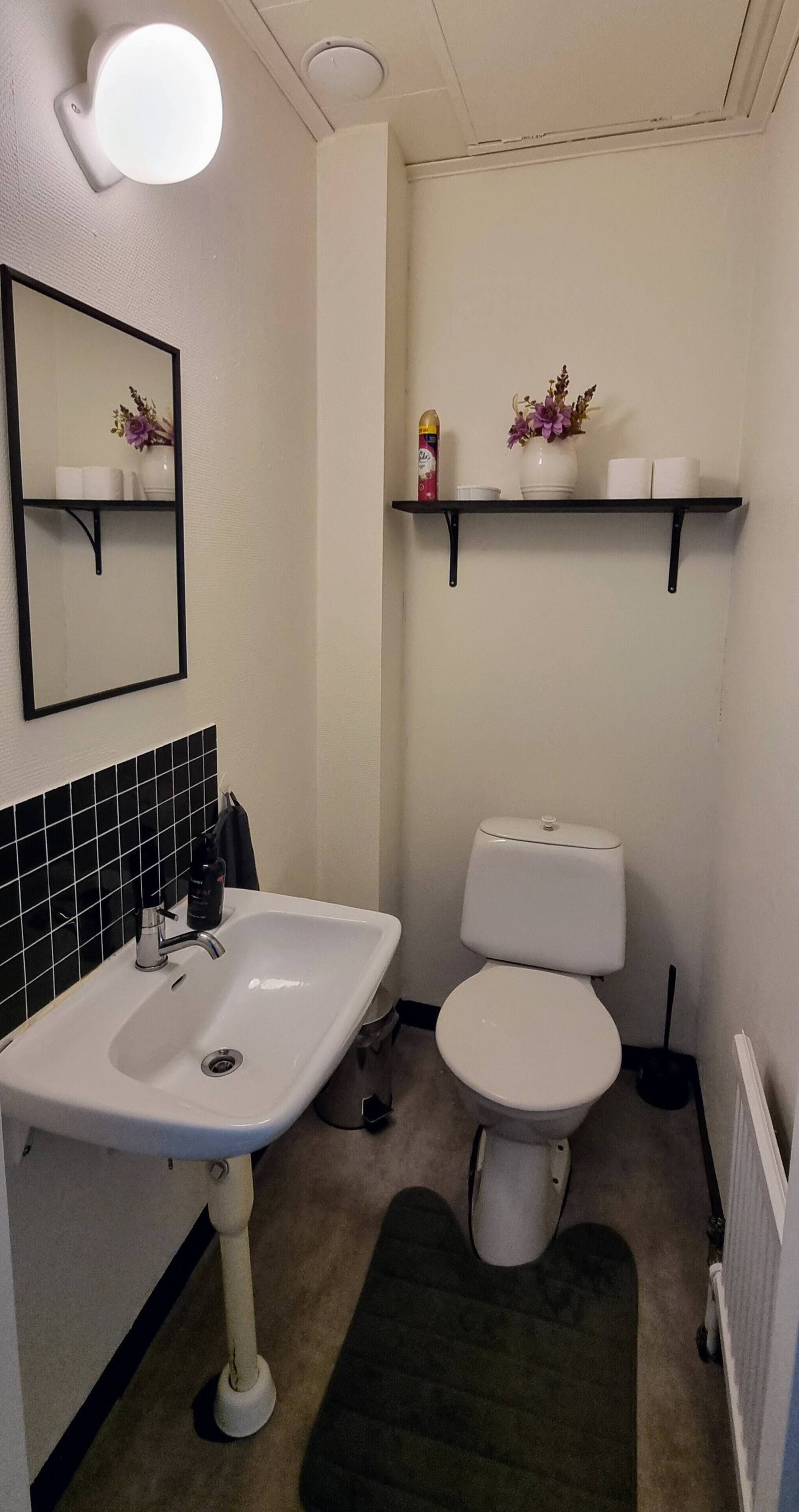 A small bathroom with a white sink, toilet, and a mirror above it. There are shelves above the toilet holding toiletries.
