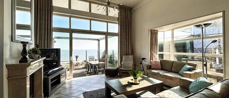 Smart TV, fireplace, books