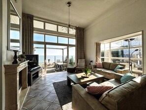 Smart TV, fireplace, books