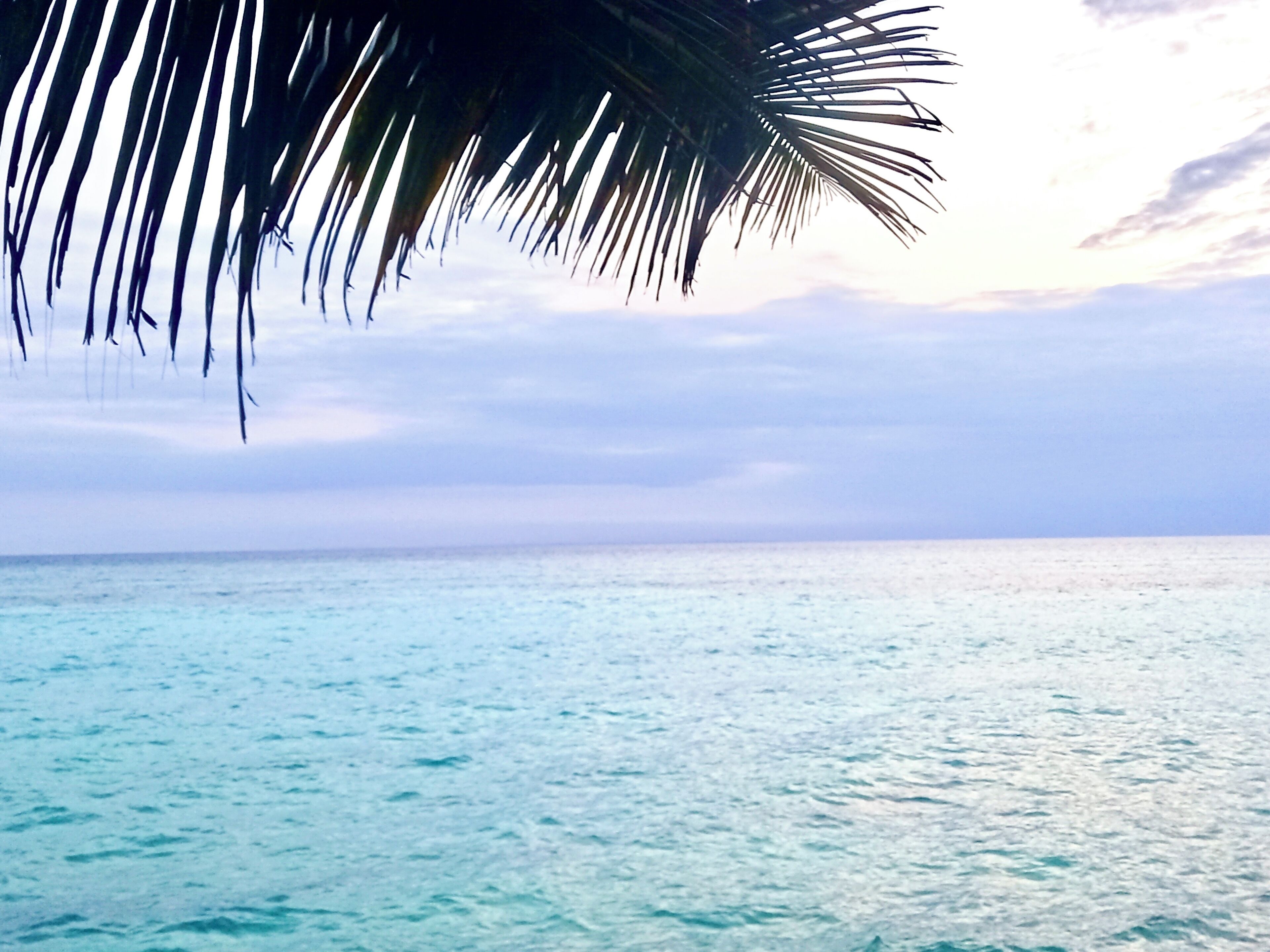 Basic Double Room | Desk, free WiFi