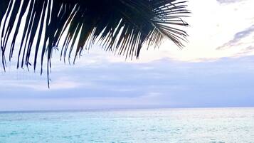 Basic Double Room | Desk, free WiFi