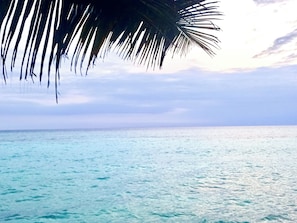 Bureau, Wi-Fi gratuit