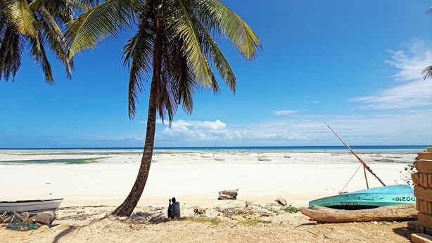 Ein Strand mit Palme, einem Boot und einer Person, die im Sand sitzt.