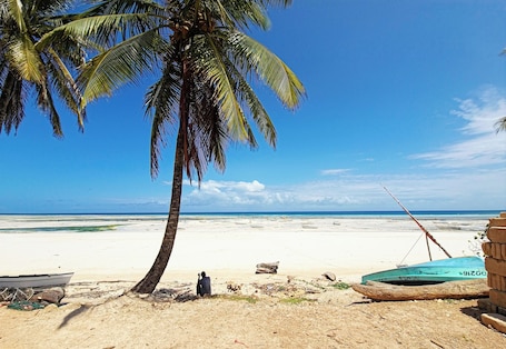 Basic Double Room | Beach/ocean view