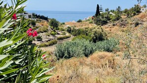 A coastal landscape with a variety of vegetation, including shrubs and trees, and a view of the sea. - White House with Sea Views by At Home Costa del Sol (Torrox Costa)