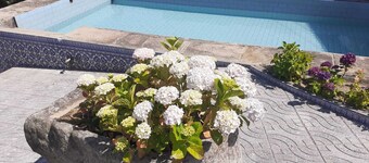 Quinta dos Silvas