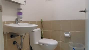 Apartment, 1 Bedroom, Accessible, Balcony | Bathroom | Toilet paper