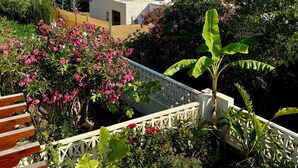 Vista costera con un edificio blanco, abundante vegetación y un jardín con azulejos azules.
