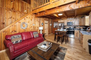 TV, fireplace, video games, DVD player