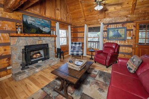 TV, fireplace, video games, DVD player