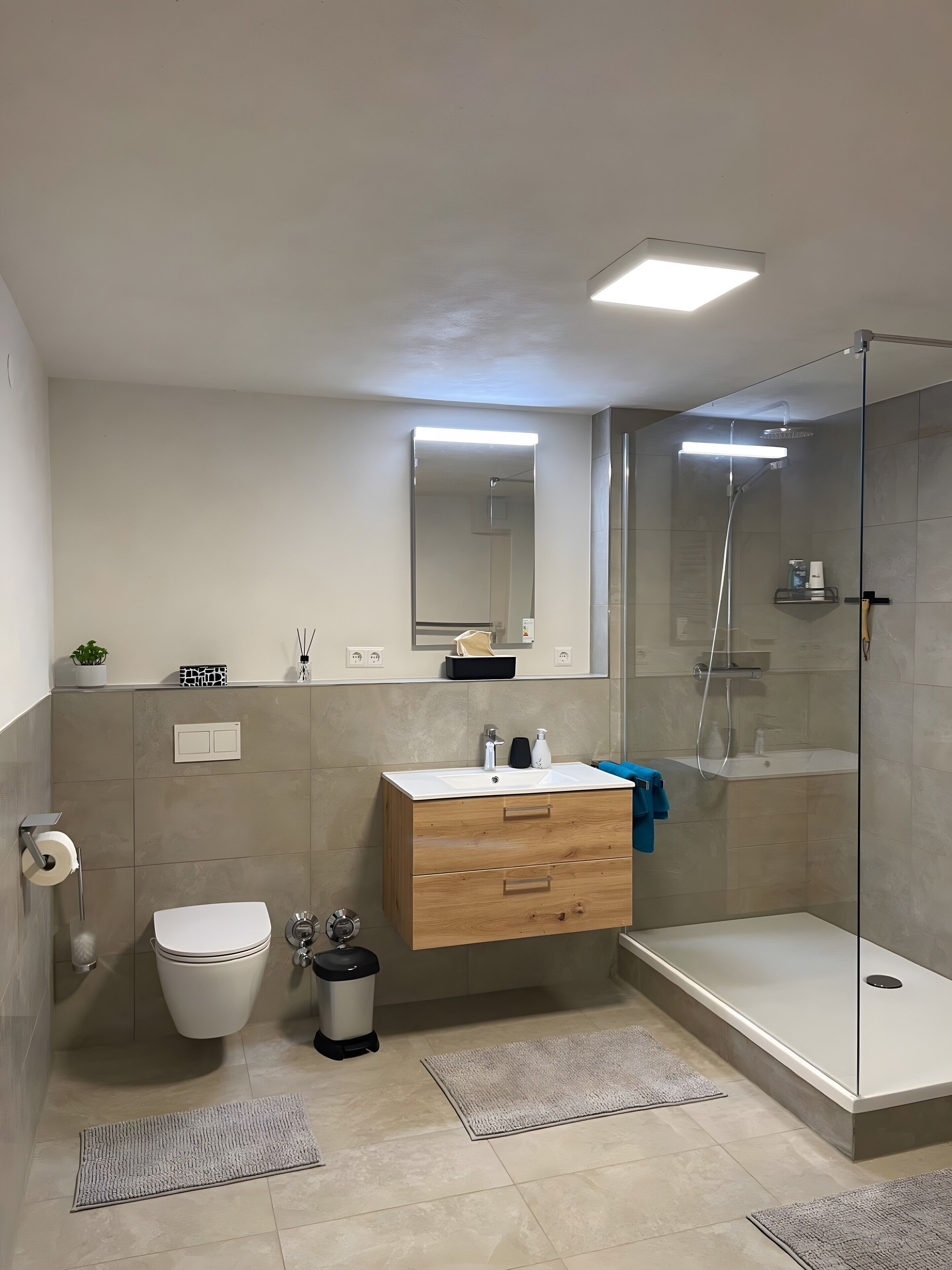 Shower, free toiletries, hair dryer, towels