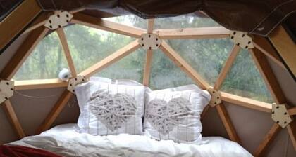 Dodôme étoilé-Love Room