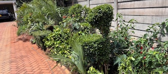 Fantastic 3-bedroom house in Harare with a fabulous garden and full amenities.