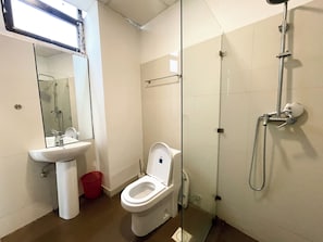 Regadera, secadora de cabello, bidet, toallas 