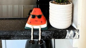 Una cocina con encimera negra, una planta blanca en maceta y un objeto rojo con gafas de sol.