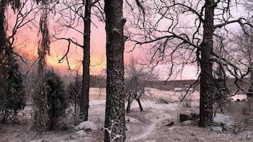 A snowy landscape with trees and a path.