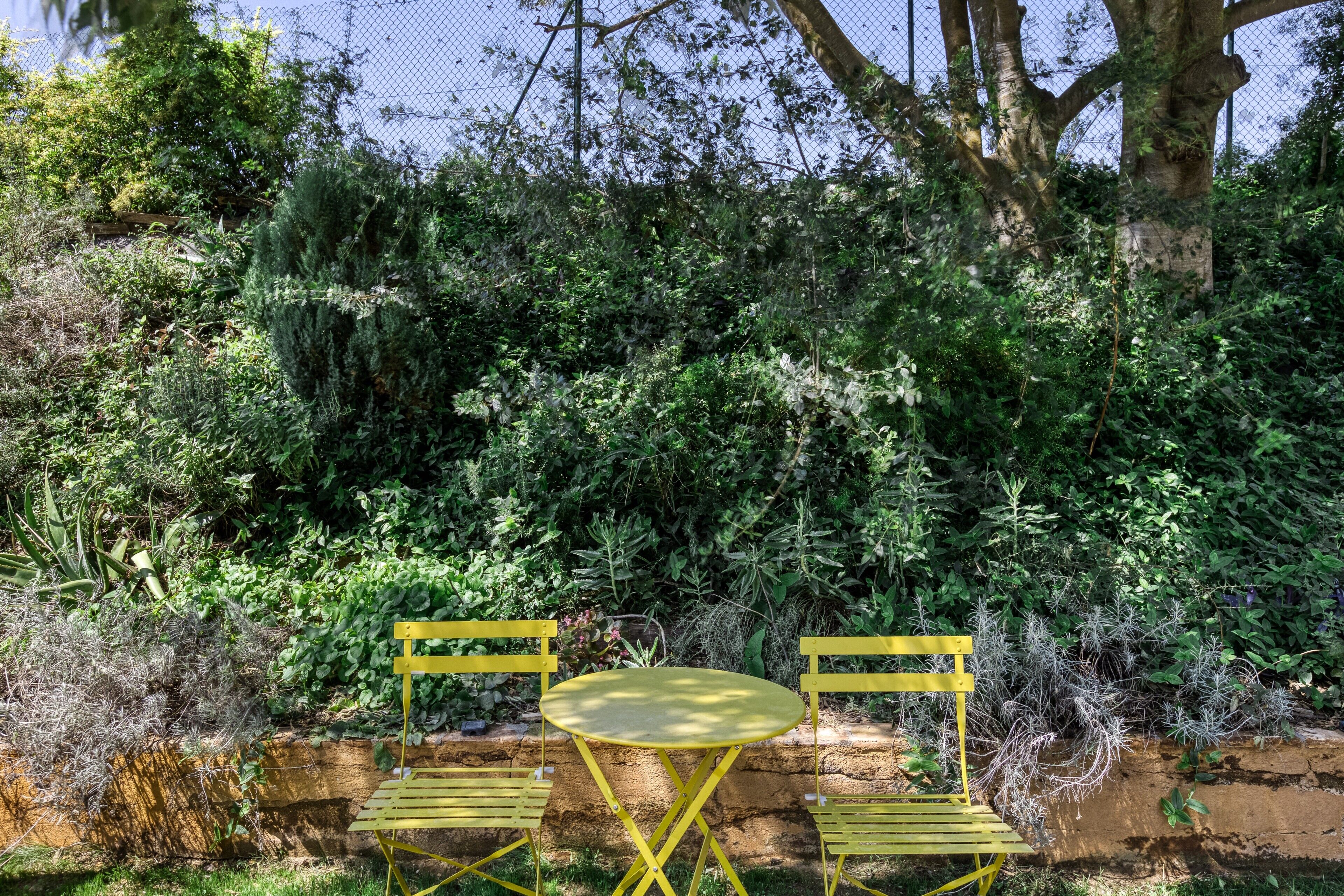 A garden with a table and chairs, surrounded by dense foliage and trees.
