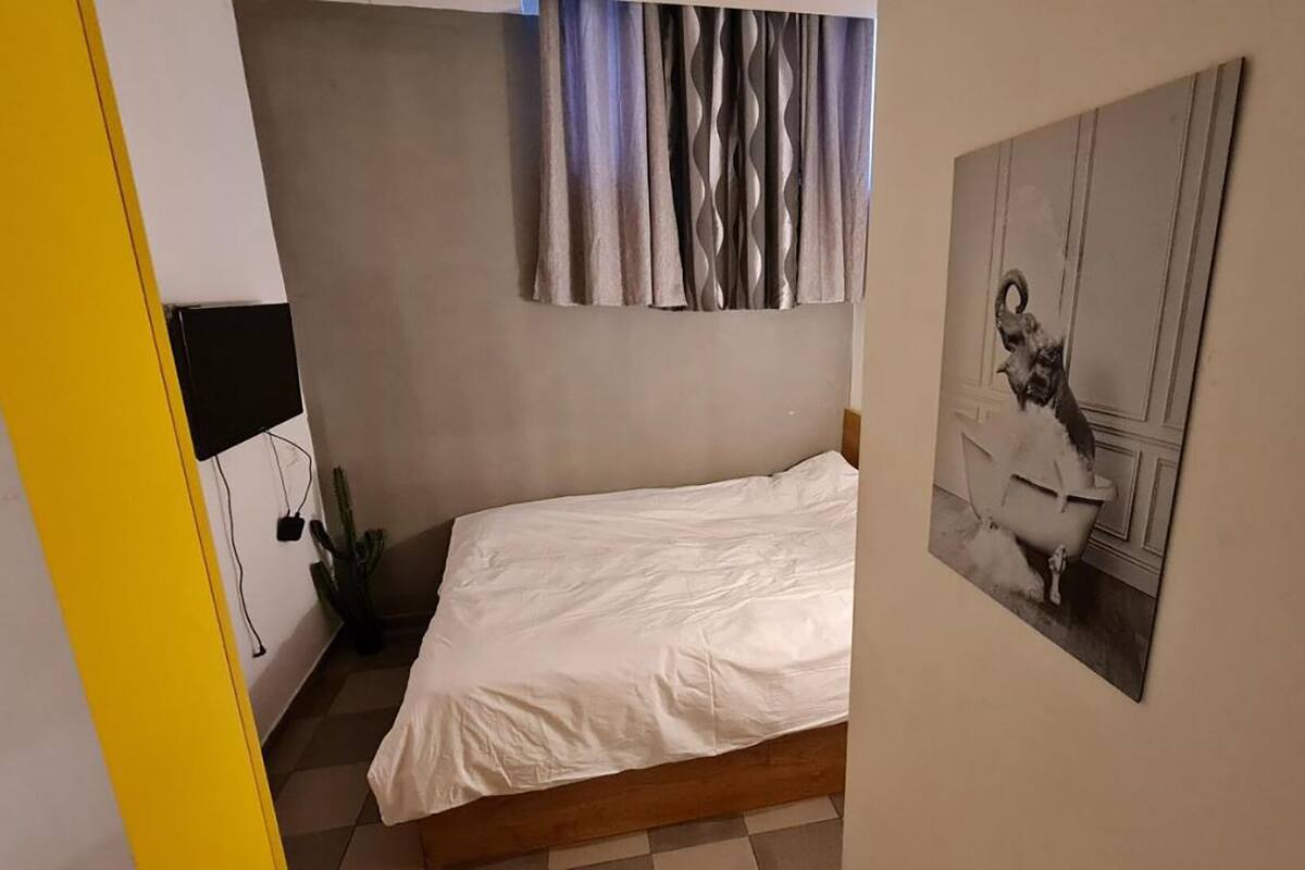 A small, neatly made bed in a compact room with a plain wall and a single piece of wall art depicting a dog.