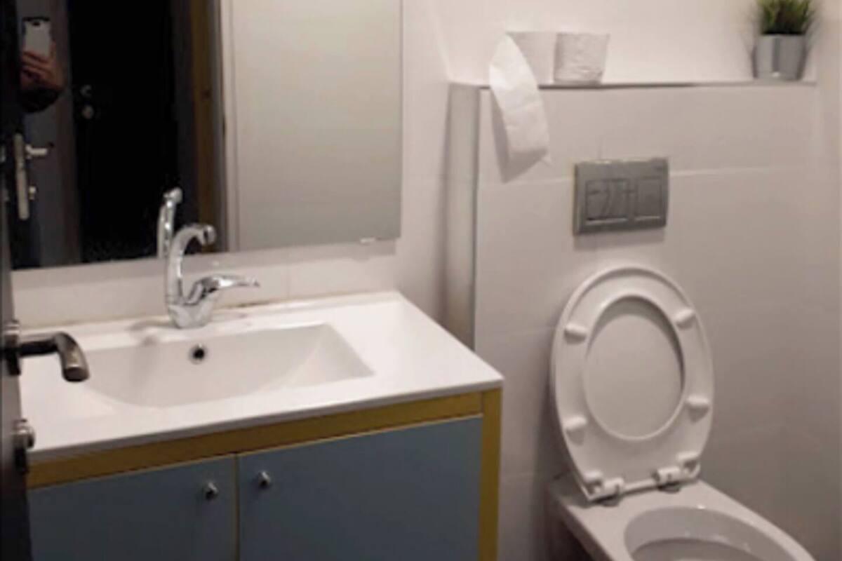 A bathroom with a white sink, a mirror, a toilet, and a small shelf with a plant.