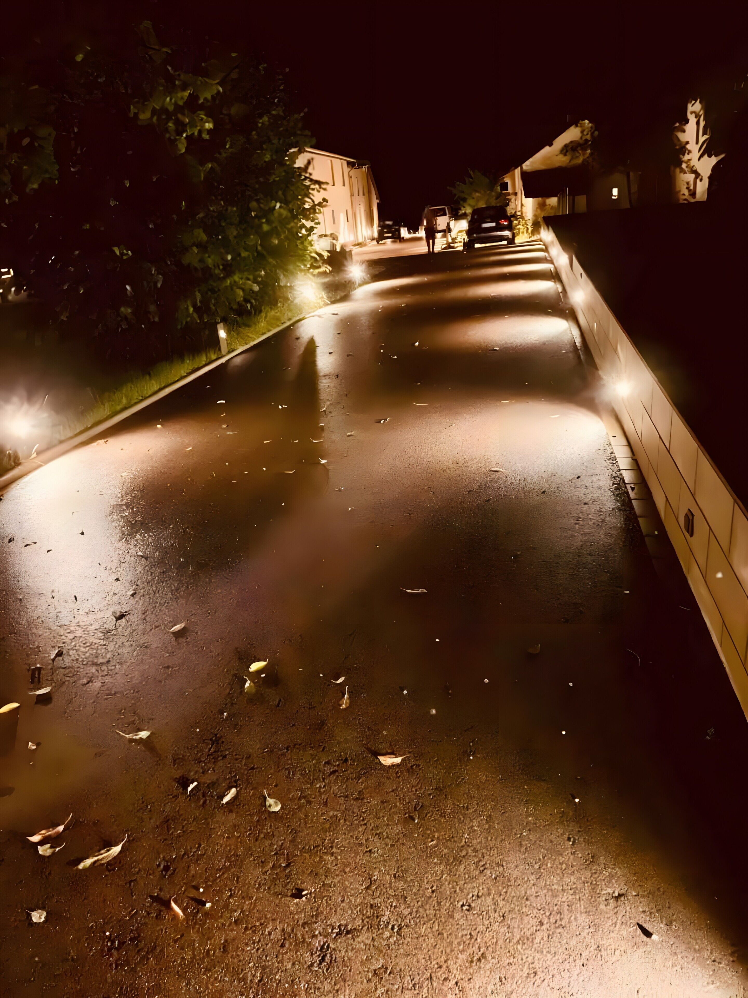 Cena noturna na rua com calçada molhada, folhas espalhadas e postes de luz.