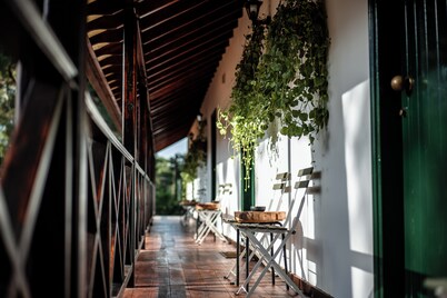 Pine View Boutique Hotel Adults Only