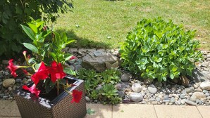 Ein Garten mit einem Blumentopf, roten Blüten, grünem Laub und einem Kiesweg.
