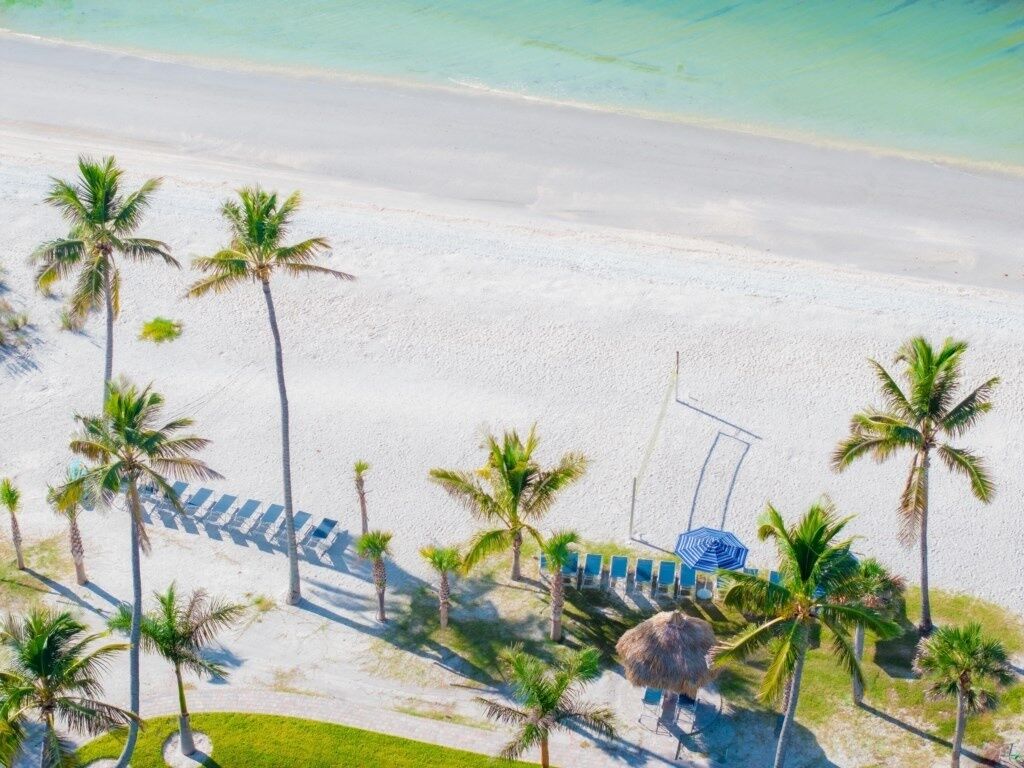 An aerial view of a beach with palm trees, a thatched-roof hut, and a row of beach chairs and umbrellas.