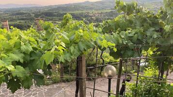 Nhà, 2 phòng ngủ, phù hợp cho người khuyết tật, ban công | Khuôn viên nơi lưu trú