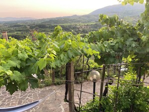 Property grounds - Hillside Home With Fantastic View - 7 Beds - Only 1h From Rome (Olevano Romano)