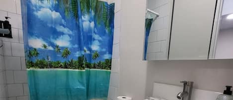 Shower, hair dryer, towels, soap