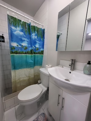 Hair dryer, towels, soap, toilet paper