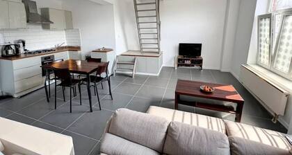 Saint Georges 31 - Pairi daiza - Shape Mons