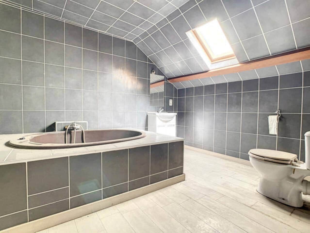 Hair dryer, towels, toilet paper
