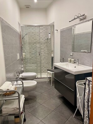 Shower, hair dryer, bidet, towels