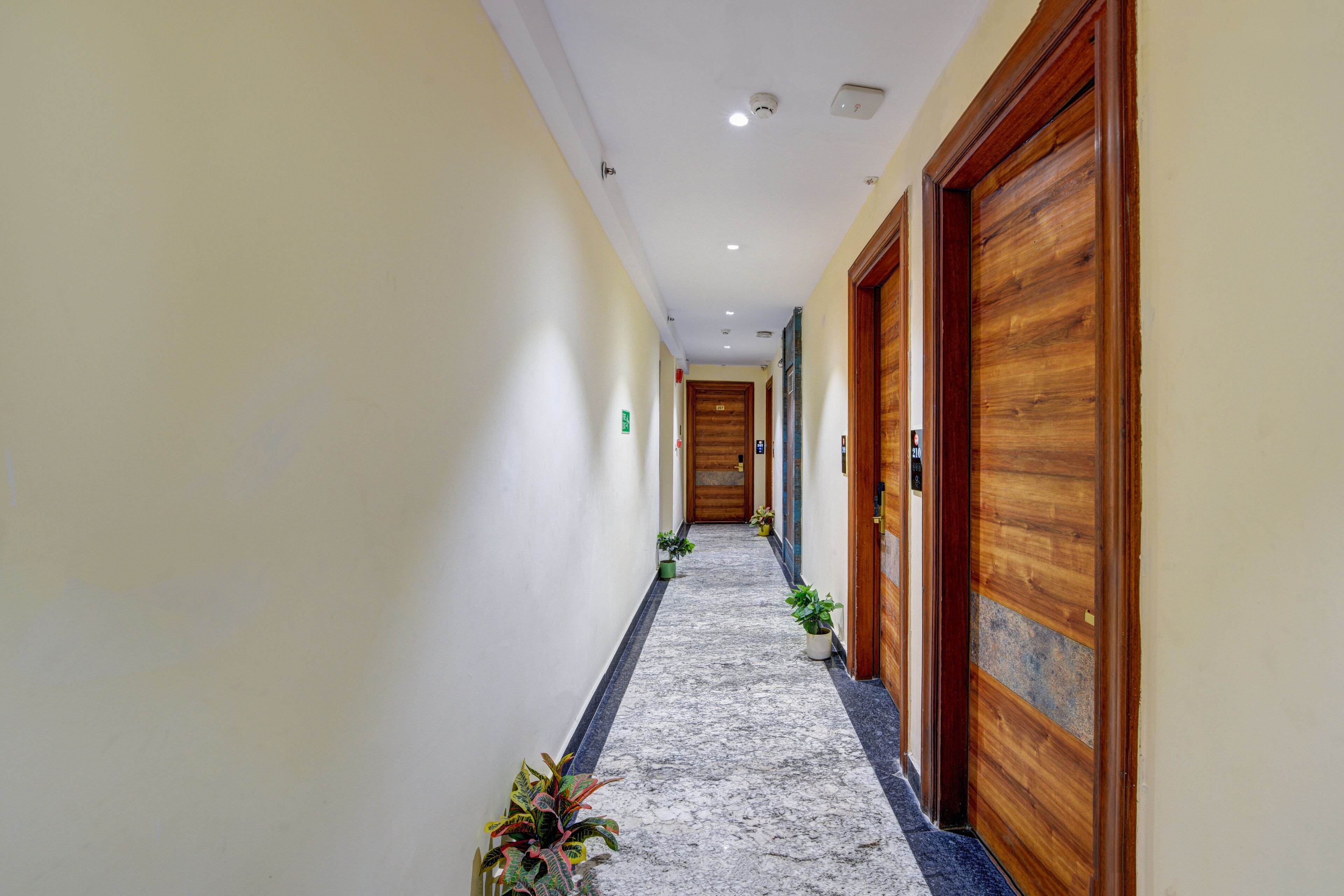 A hotel hallway with wooden doors, a marble floor, and potted plants.