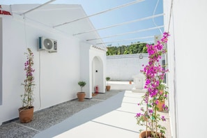 المنطقة المحيطة بالمنشأة