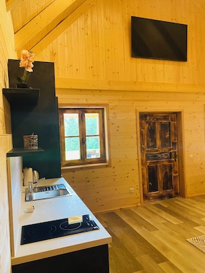 Réfrigérateur, micro-ondes, plaque de cuisson, lave-vaisselle