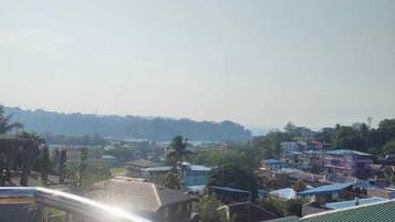 Deluxe Double Room, Balcony, City View | View from room