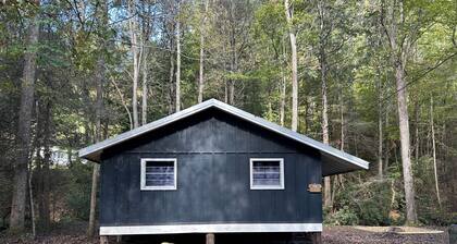 Charming 3 bedroom cabin directly on rushing creek! Fish from the deck!