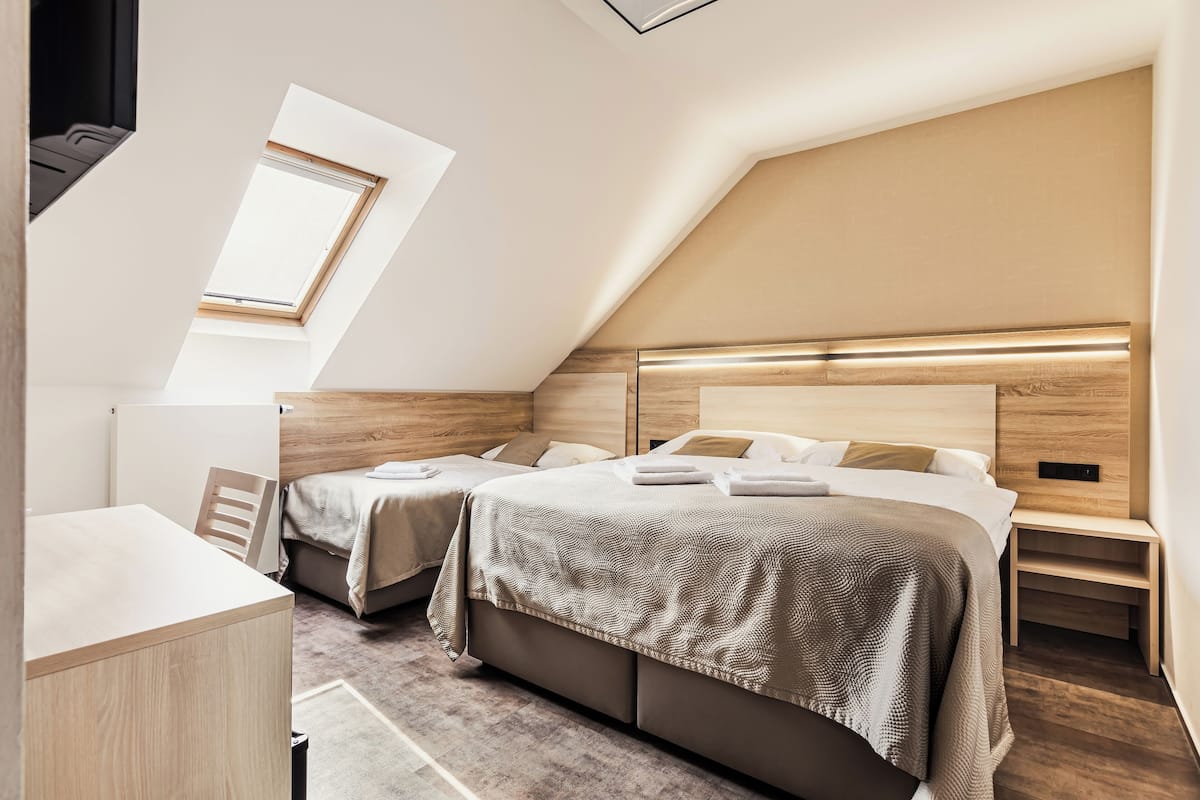 Double or Twin Room | Soundproofing, free WiFi