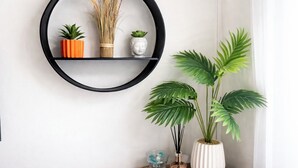 A circular wall-mounted shelf with various plants and decorative items.