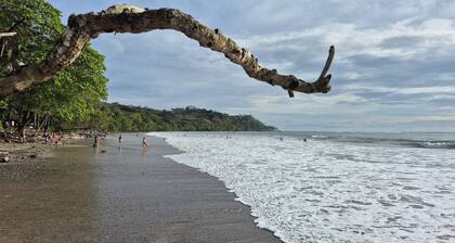 Villa Pura Vida - Mango