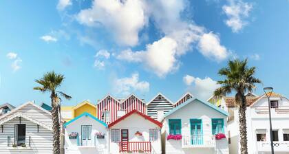 The Pine Flat with Pool at Furadouro