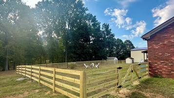 Terrein van de accommodatie