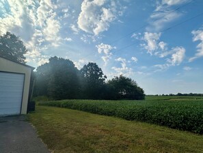 Àrea exterior de l'allotjament