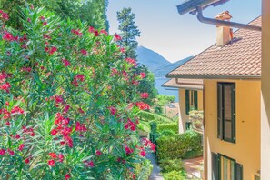 Apartment | 1 bedroom - Tra Lago e Cielo in Bellano (Bellano)