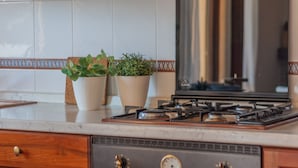 Una cocina con estufa a gas, dos plantas en macetas y un salpicadero de azulejos.